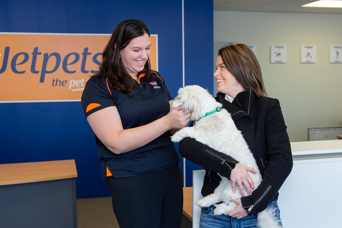 Domestic Pet Transport Nz Domestic Pet Travel Jetpets Nz