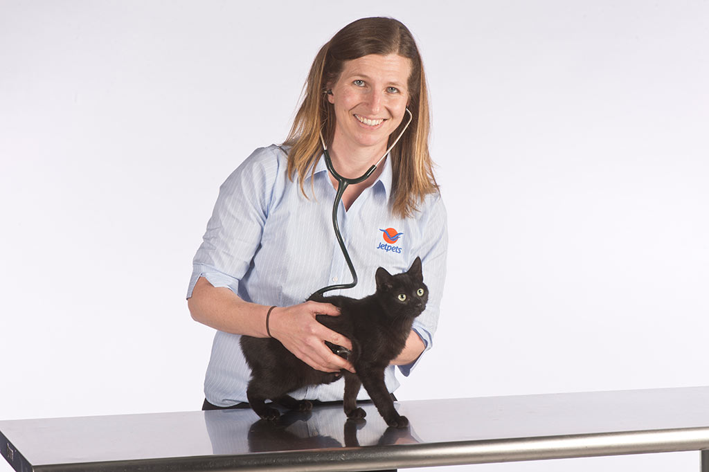 International Pet Transport to Japan Jetpets NZ