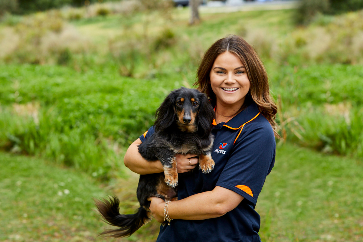 International Pet Travel To England Jetpets NZ