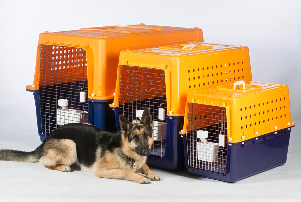 pet travel crate nz