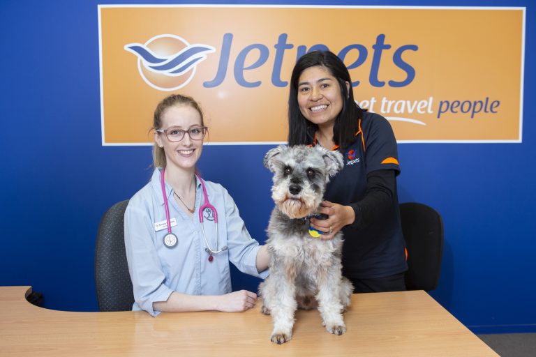 International Pet Transport to Australia Jetpets NZ
