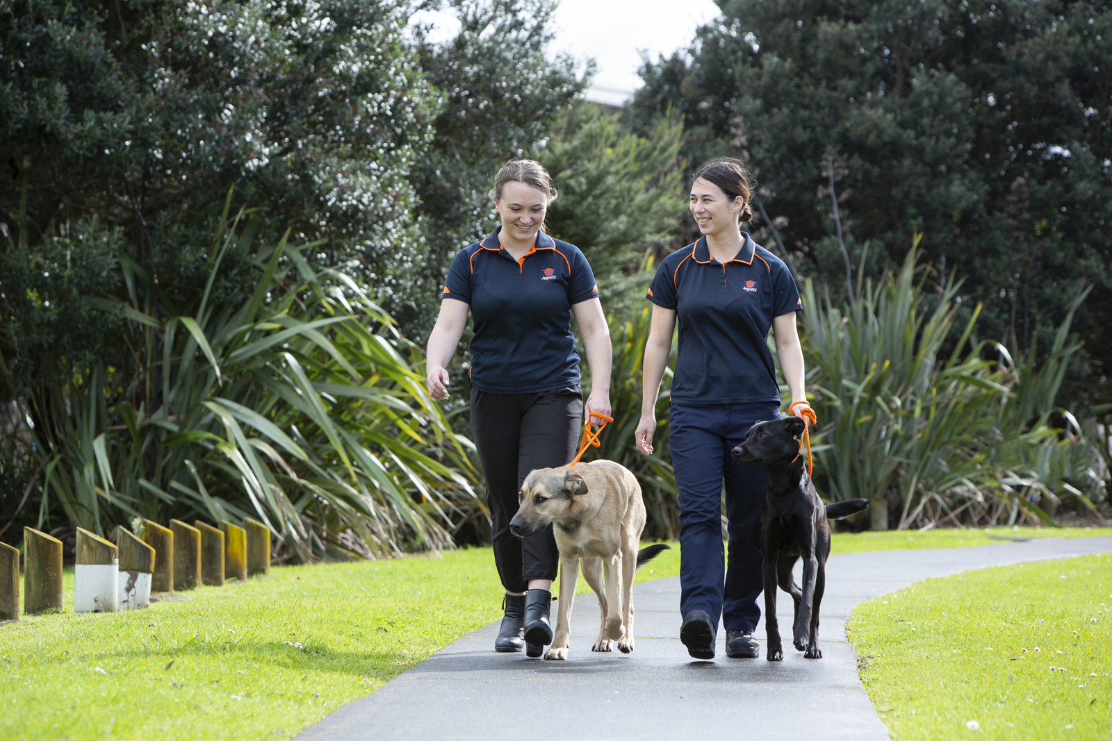 What Dogs Are Banned In Singapore