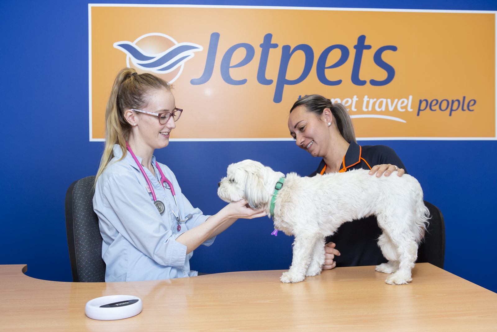 International Pet Transport to USA - Jetpets NZ