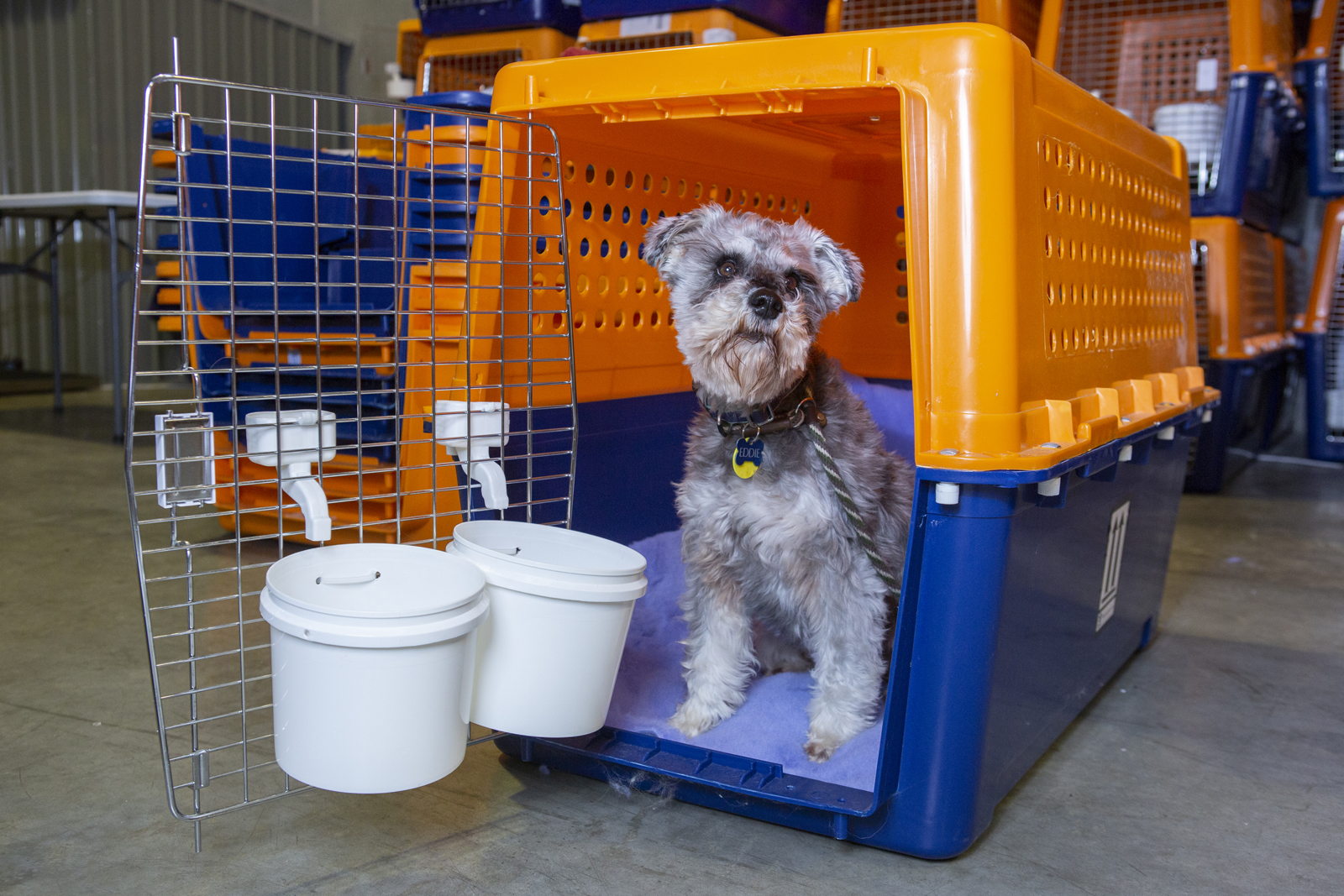 pet travel crate airline approved