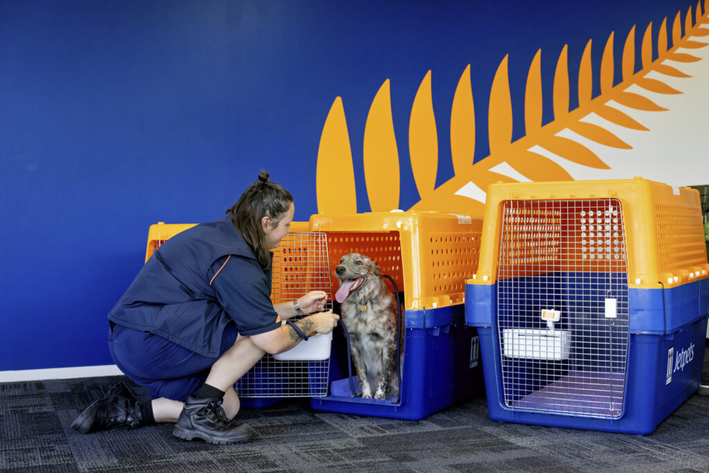 Jetpets staff member preparing a dog for safe pet transport in an airline-approved crate