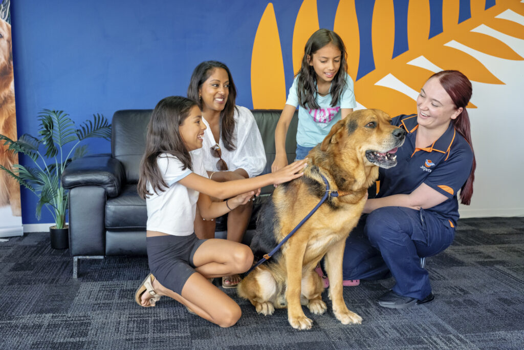 Family happily reunited with their dog after pet relocation service